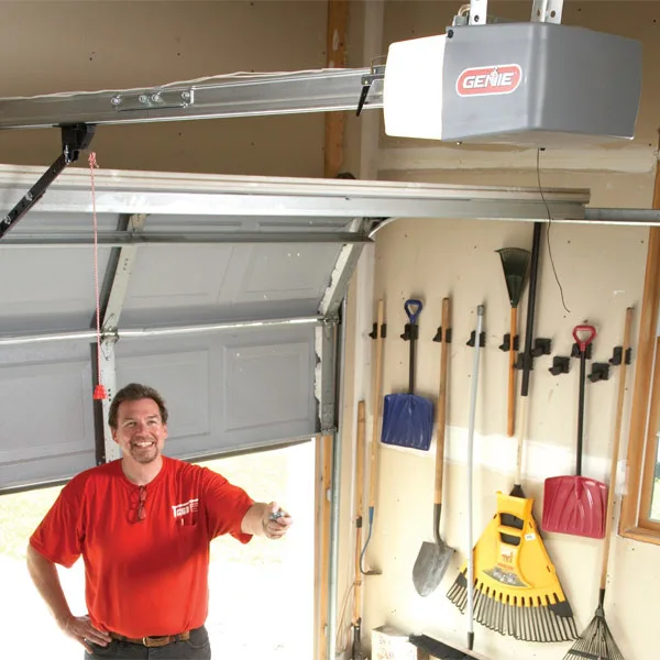 Mesa Garage Door Repair - Photo 4