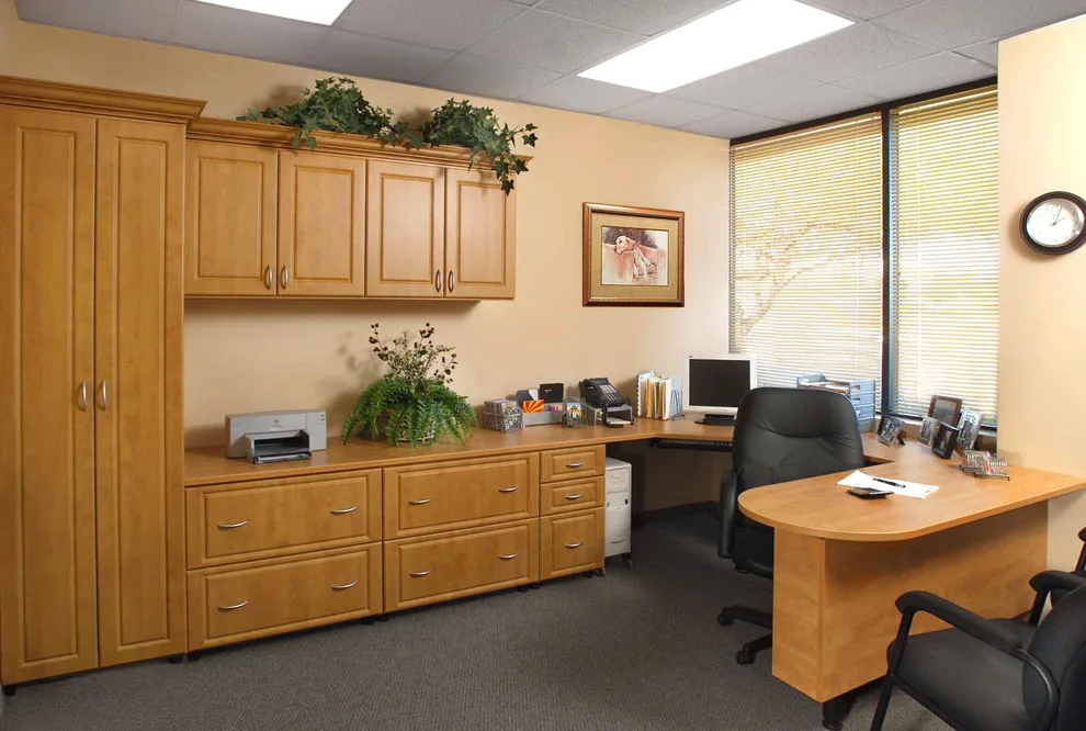 Remote Workspace by Tailored Living Featuring Premier Garage Of OC - Photo 12