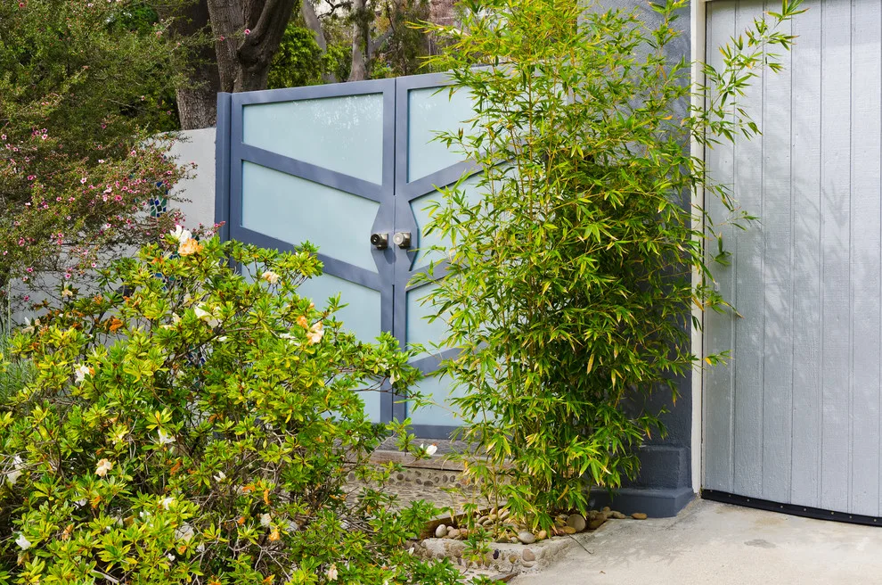 Brentwood glass barriers by Pacific Garage Doors & Gates - Photo 5