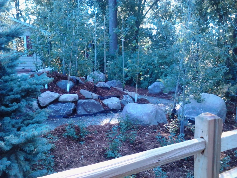 Maple Hill Forest Inc. - Photo 13