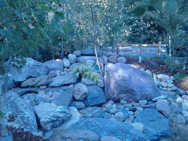 Gallery by Maple Hill Forest Inc. - Photo 14