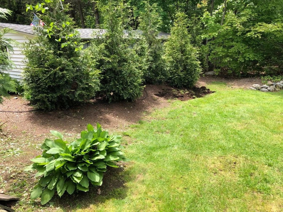 Maple Tree Landscape - Photo 14