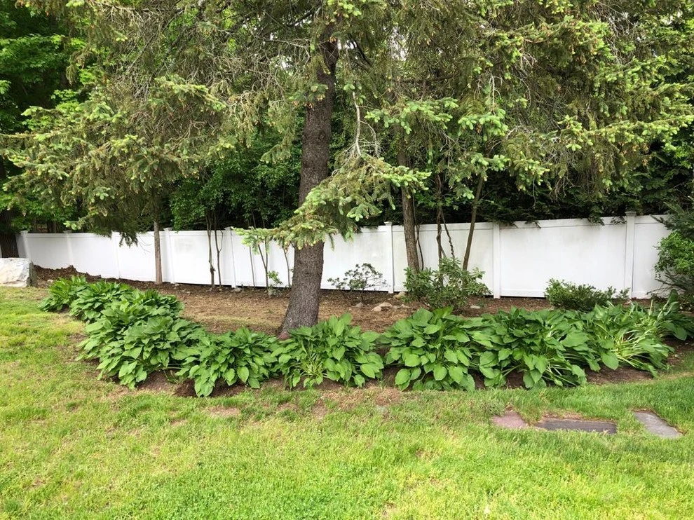 Maple Tree Landscape - Photo 13