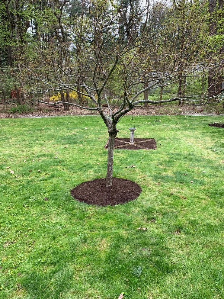Wayland 2 by Maple Tree Landscape - Photo 10