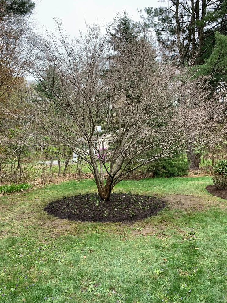 Wayland 2 by Maple Tree Landscape - Photo 15