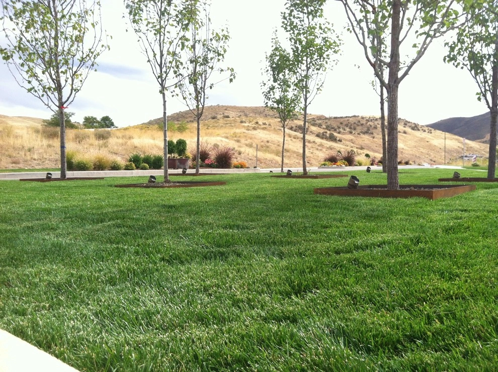 Terra Nativa II by Chuck B Edwards Landscape Architecture & 3D - Photo 19