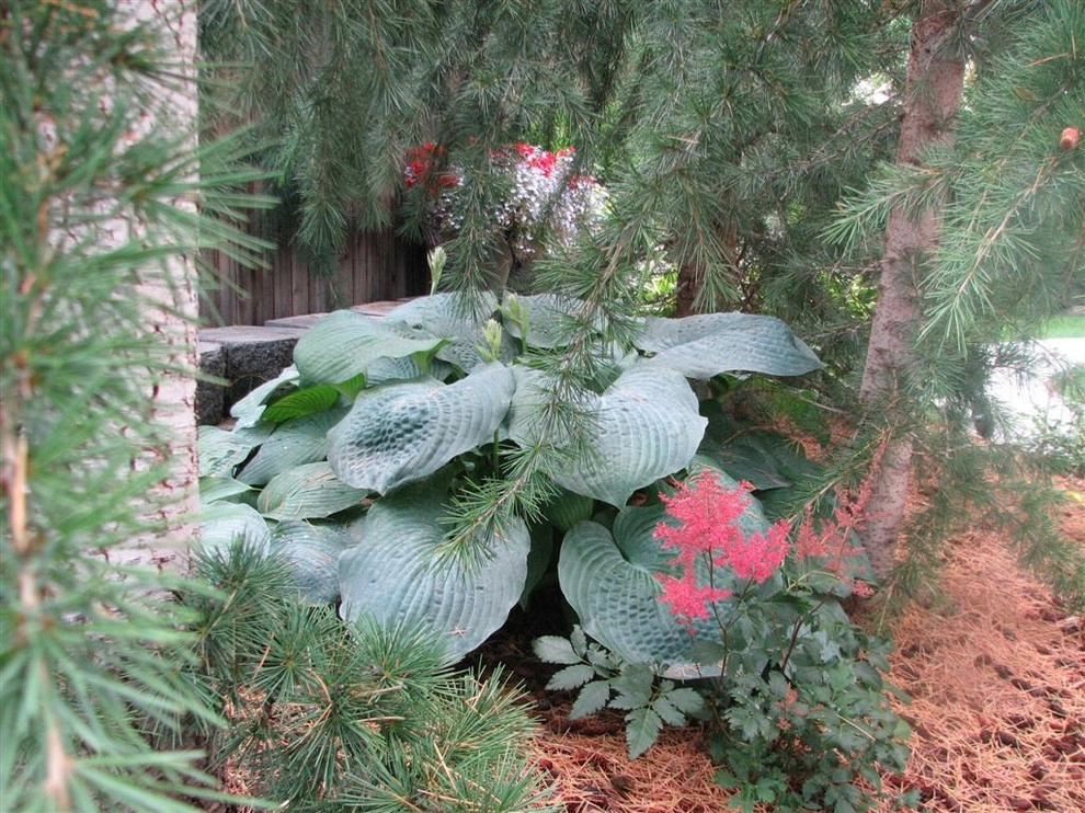 Mill Creek by Chuck B Edwards Landscape Architecture & 3D - Photo 2