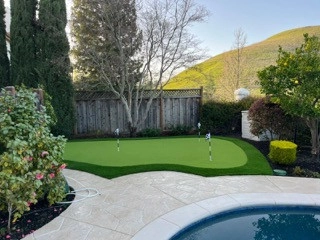 Bay Area Lawn Care Inc by Art Of Turf Inc - Photo 4