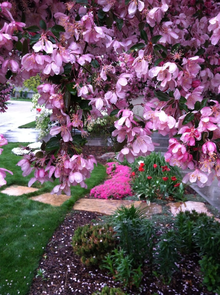 Lakewood II by Chuck B Edwards Landscape Architecture & 3D - Photo 5