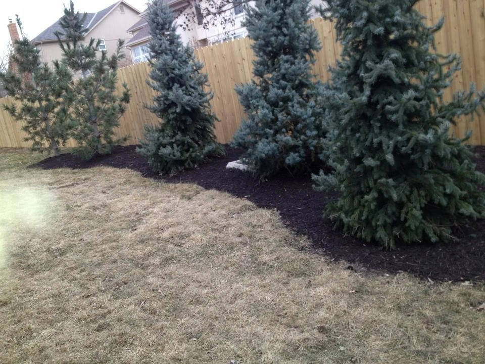 Michel Outdoor Services - Photo 11