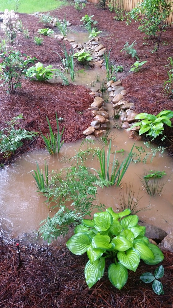 Rain Gardens & Native Plants by City Garden Company - Photo 12
