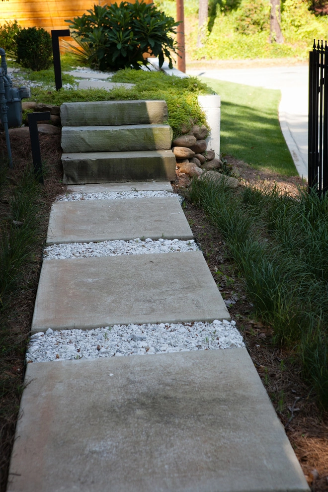 Midcentury modern landscape by City Garden Company - Photo 5