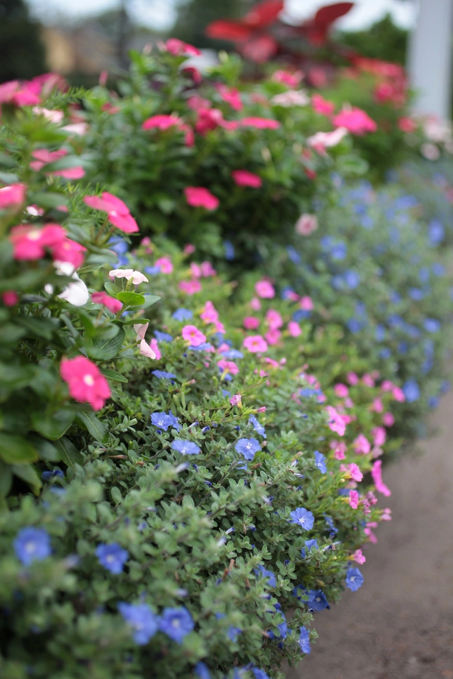 Container Gardening by City Garden Company - Photo 2