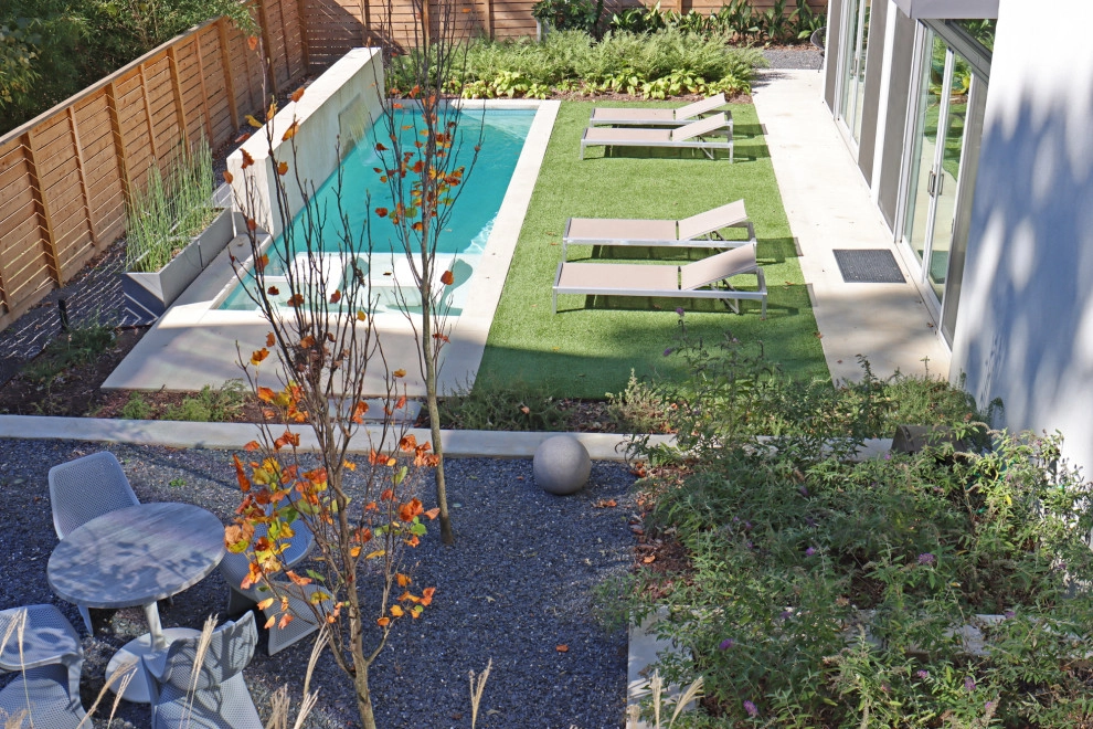 Modern city home by City Garden Company - Photo 5