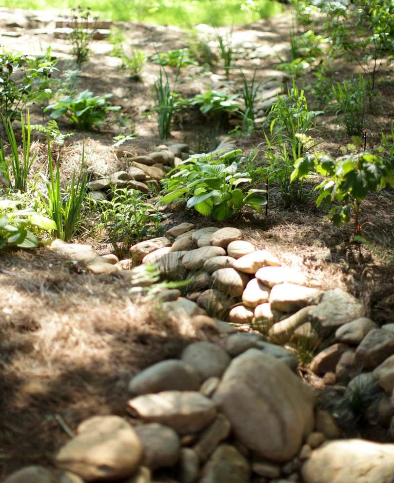 Rain Gardens & Native Plants by City Garden Company - Photo 14