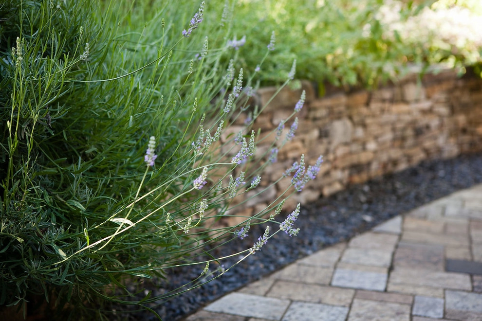 Rain Gardens & Native Plants by City Garden Company - Photo 13