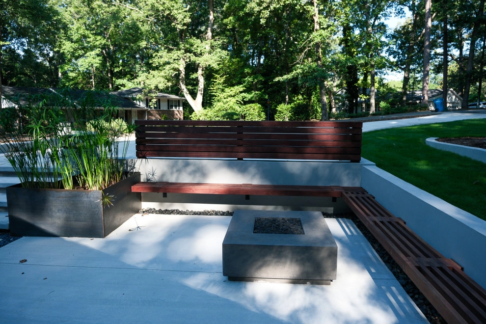 Mid-century Modern Outdoor Living Space by City Garden Company - Photo 4