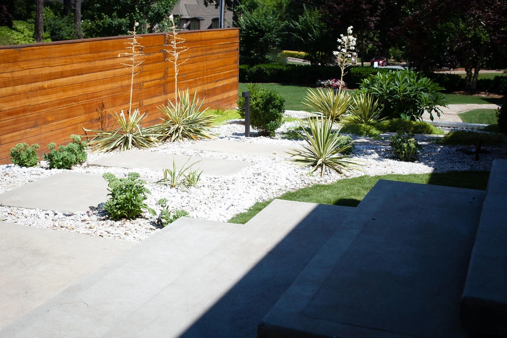 Midcentury modern landscape by City Garden Company - Photo 4
