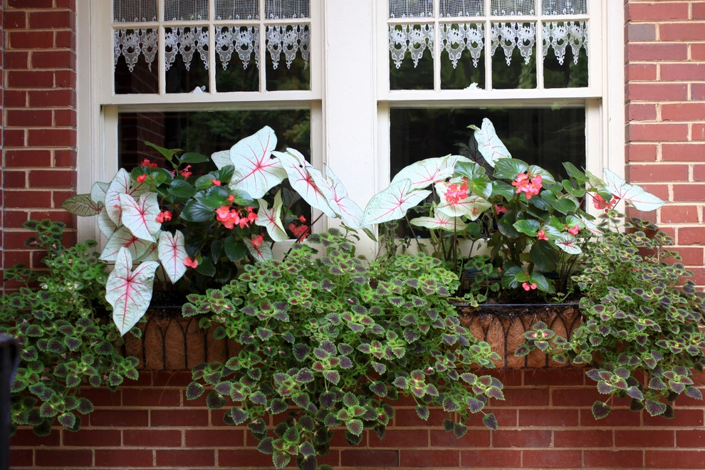 Container Gardening by City Garden Company - Photo 3