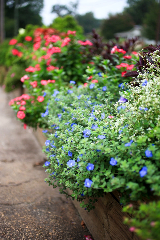 Container Gardening by City Garden Company - Photo 7