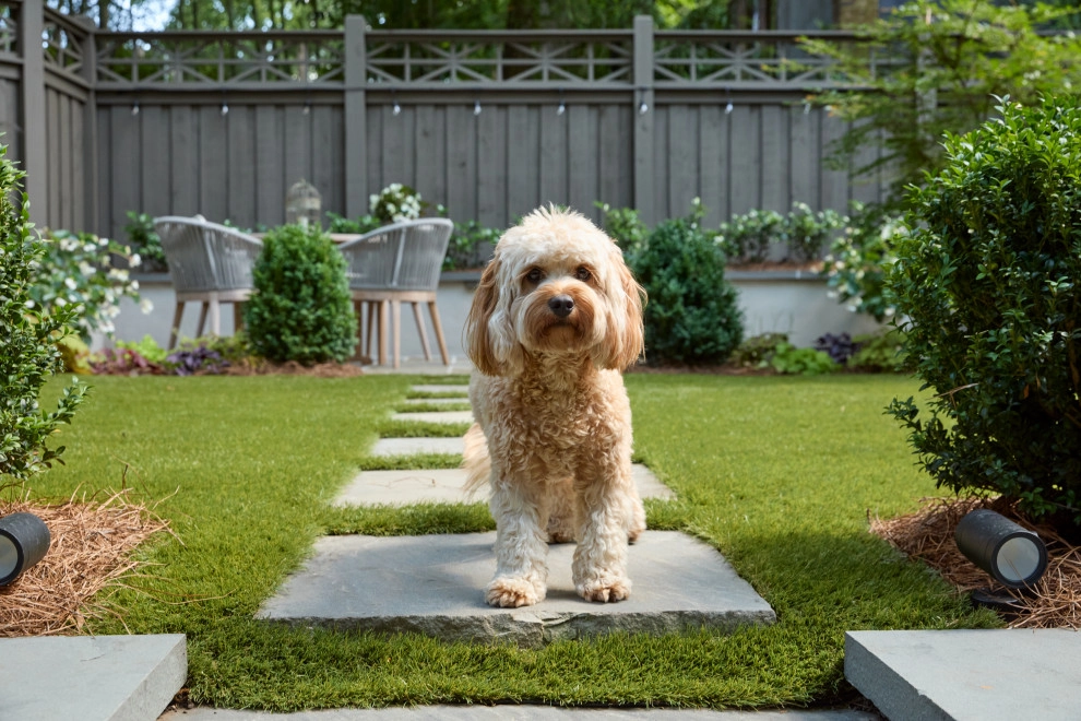 Midtown Haven by City Garden Company - Photo 5