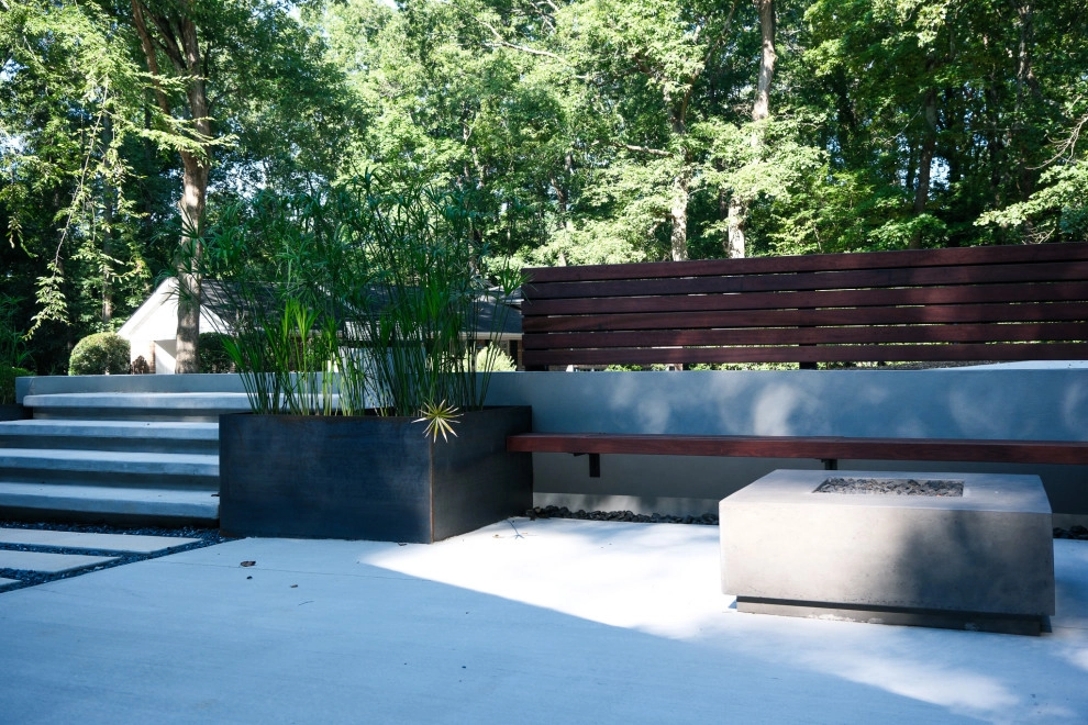 Mid-century Modern Outdoor Living Space by City Garden Company - Photo 2