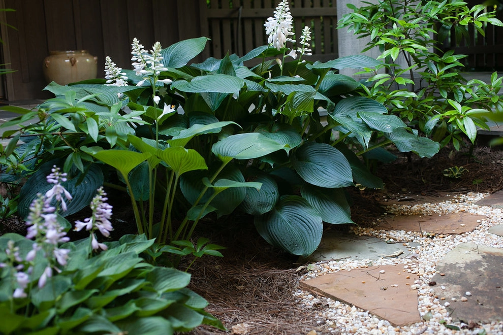 English country garden by City Garden Company - Photo 5
