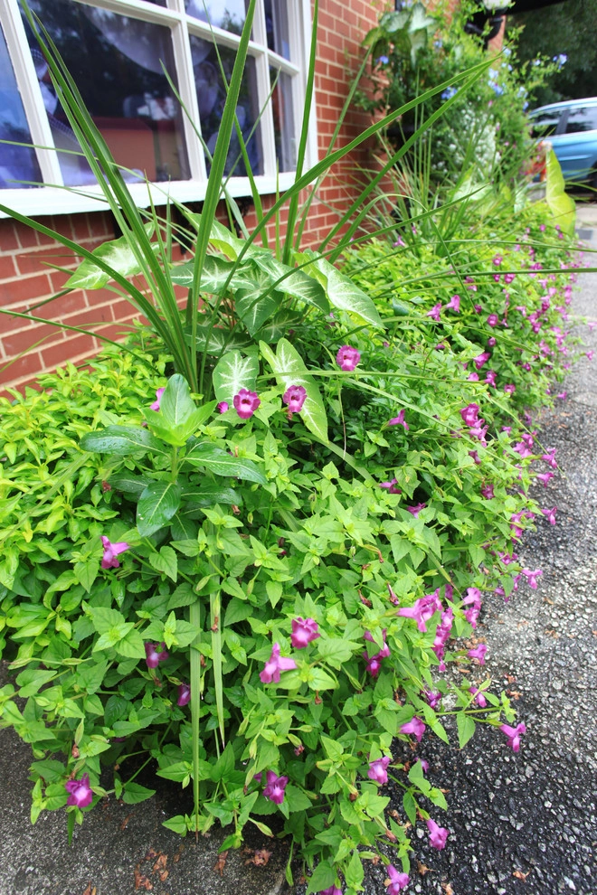Container Gardening by City Garden Company - Photo 6