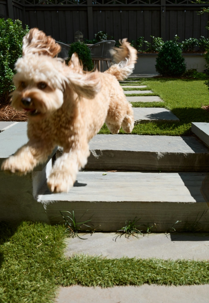 City Garden Company - Photo 2