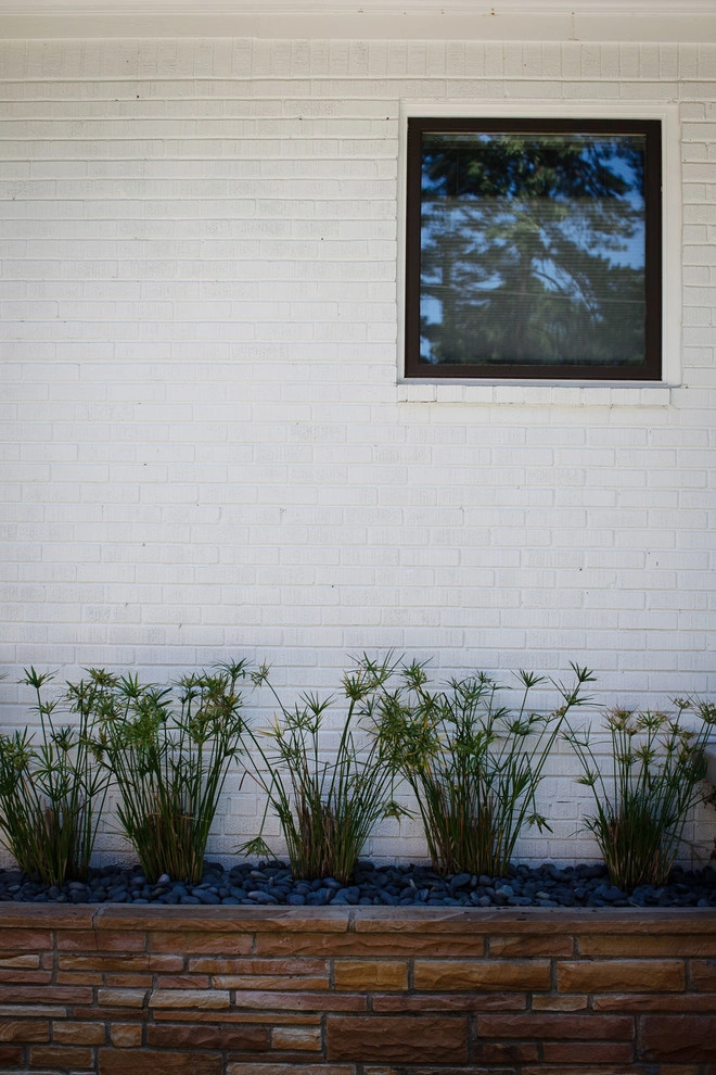 Midcentury modern landscape by City Garden Company - Photo 3
