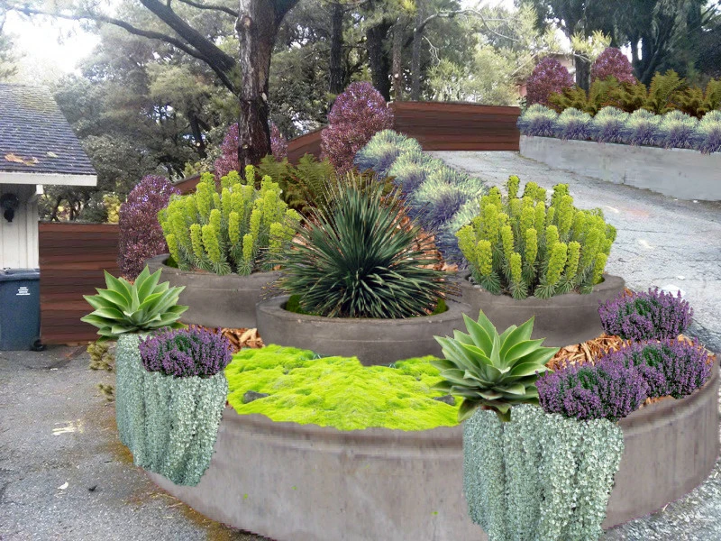 Conceptual Designs by Johnson's Tree & Garden Service - Photo 14