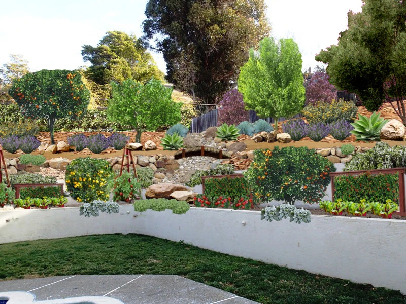 Conceptual Designs by Johnson's Tree & Garden Service - Photo 18