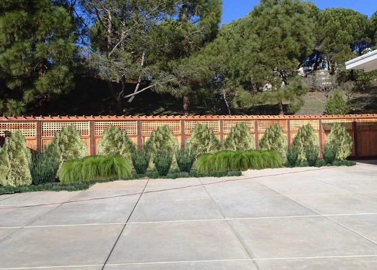 Conceptual Designs by Johnson's Tree & Garden Service - Photo 21