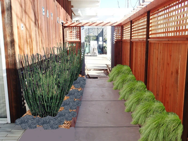 Conceptual Designs by Johnson's Tree & Garden Service - Photo 15