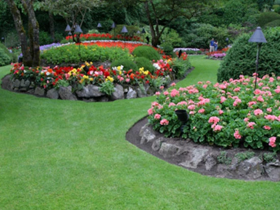 Jones Landscaping & Lawns Inc - Photo 3