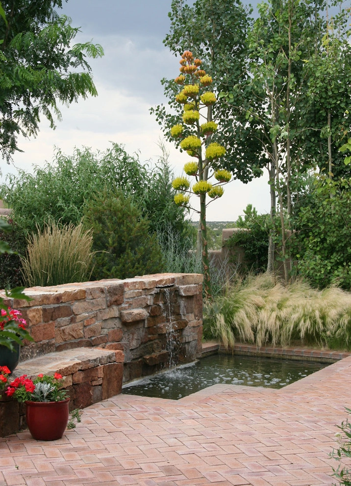 Traditional Southwest Garden by Clemens & Associates Inc. - Photo 5