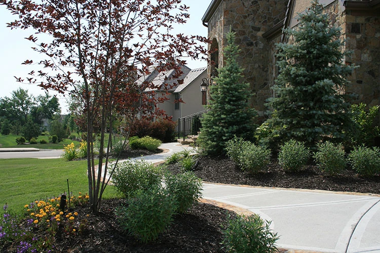 Landscaping by Next To Nature Landscape - Photo 3
