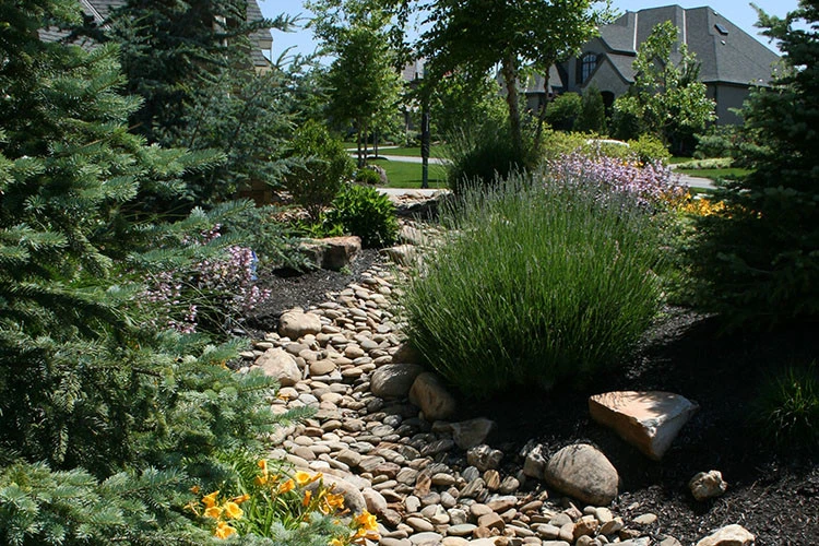 Landscaping by Next To Nature Landscape - Photo 6
