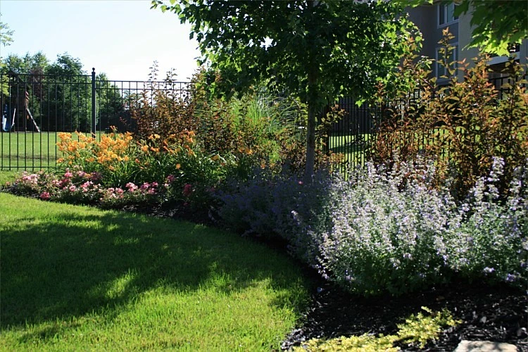 Landscaping by Next To Nature Landscape - Photo 2