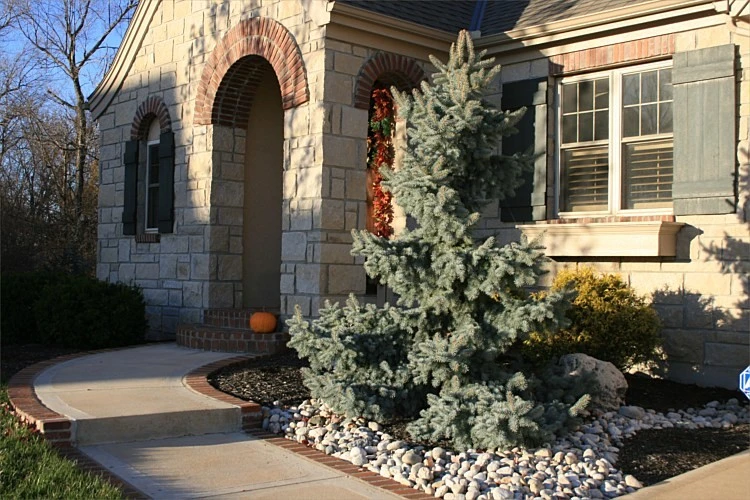 Landscaping by Next To Nature Landscape - Photo 5