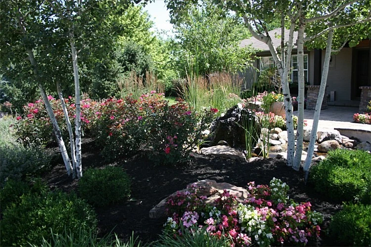 Landscaping by Next To Nature Landscape - Photo 8