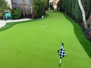 Bay Area Lawn Care Inc by Art Of Turf Inc - Photo 3