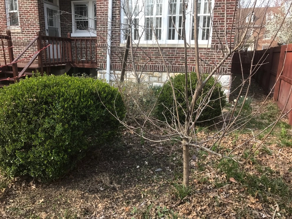 University City Backyard by Clipper Tree & Landscape - Photo 7