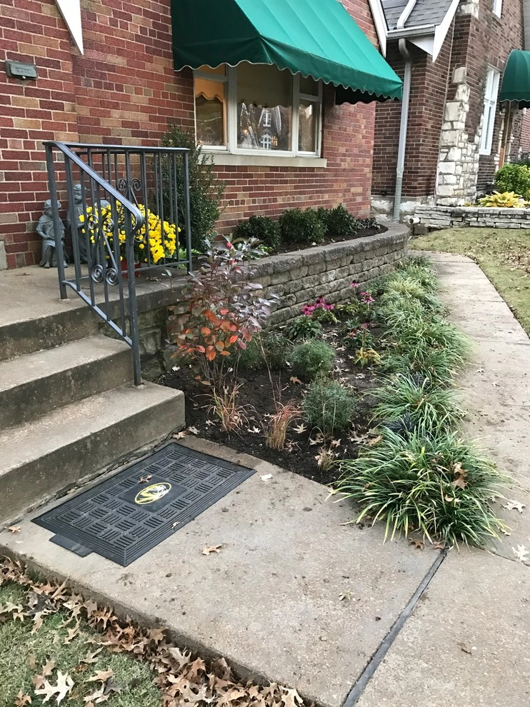 St. Louis Hills Frontyard Renovation by Clipper Tree & Landscape - Photo 4