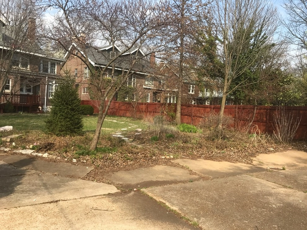 University City Backyard by Clipper Tree & Landscape - Photo 4
