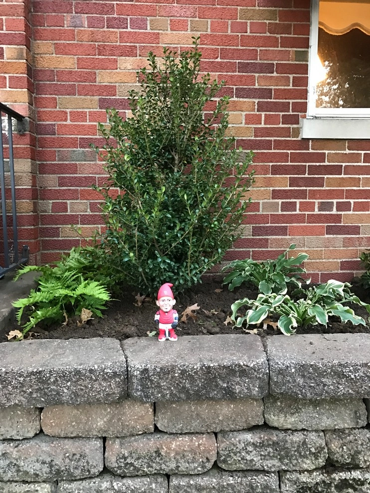 St. Louis Hills Frontyard Renovation by Clipper Tree & Landscape - Photo 3