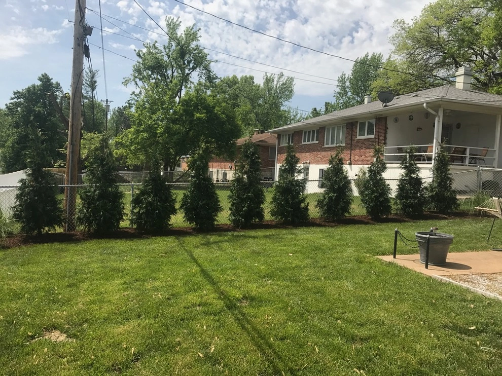 South County Privacy Screen by Clipper Tree & Landscape - Photo 3