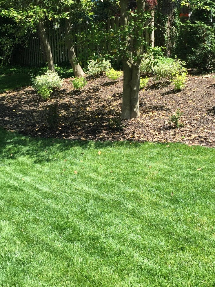 Glendale Landscaping by Clipper Tree & Landscape - Photo 6
