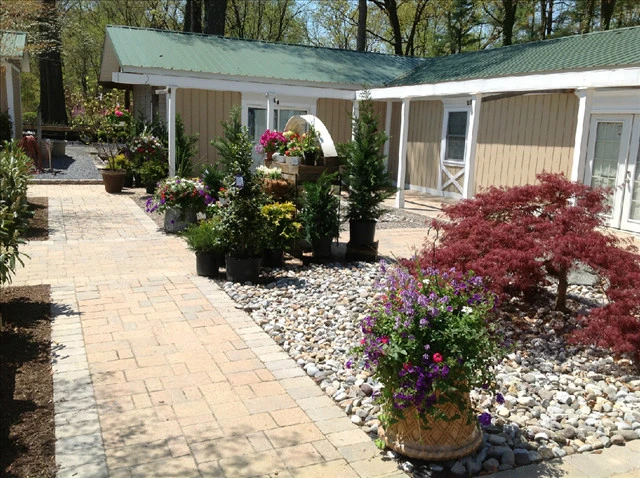 Oasis Landscaping And Ten Oaks Nursery - Photo 6