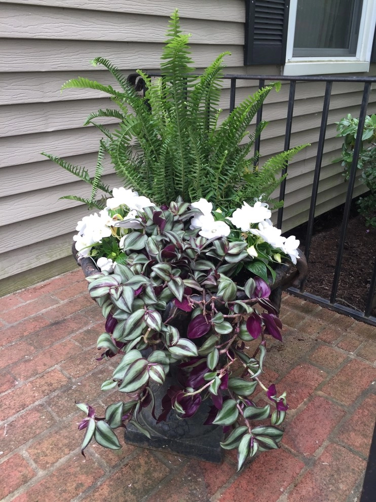 Annuals by Coastal Concepts - Photo 10